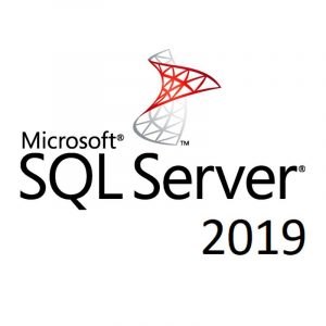 Microsoft SQL Server 2019 Standard obrázek v popisu produktu.